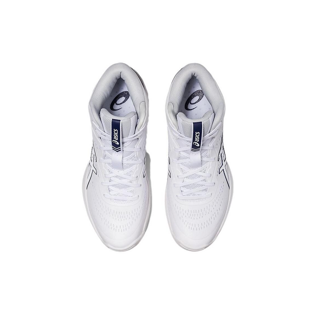Asics Gel-Hoop V15