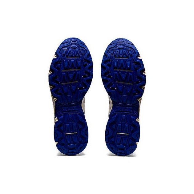 Asics Gel-Venture 6