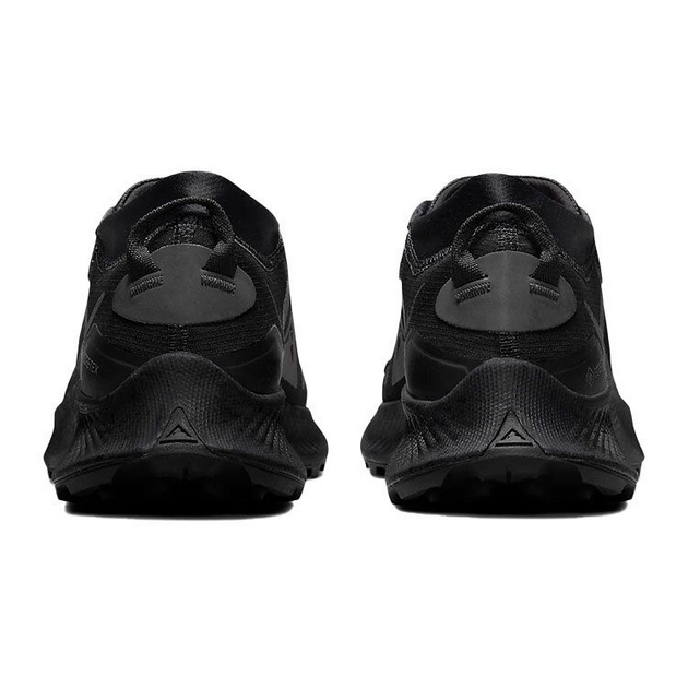 Nike Pegasus TRail 3 GTX