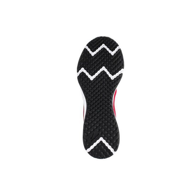 Nike Revolution 5