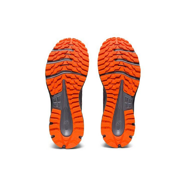 Asics TRail Scout 2