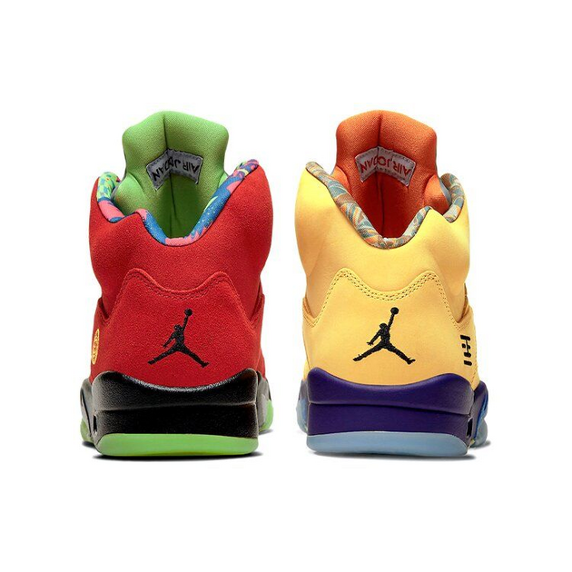 Air Jordan 5 Retro Se what the