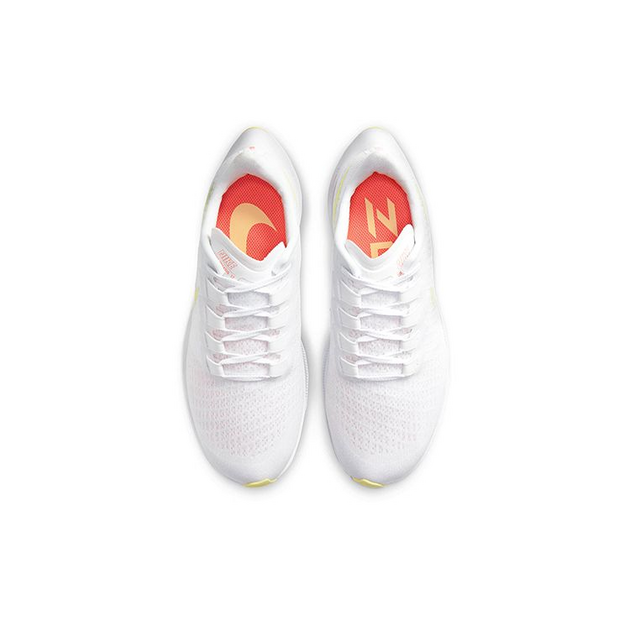 Nike Pegasus 37