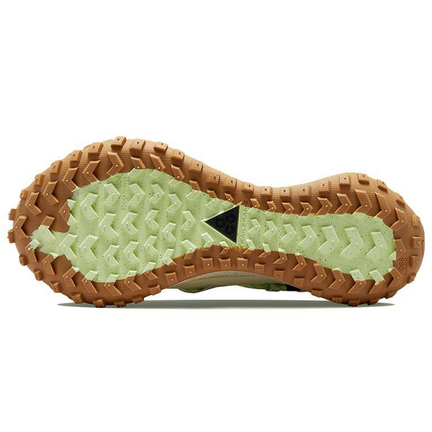 Nike ACG Mountain Fly Low GTX Se