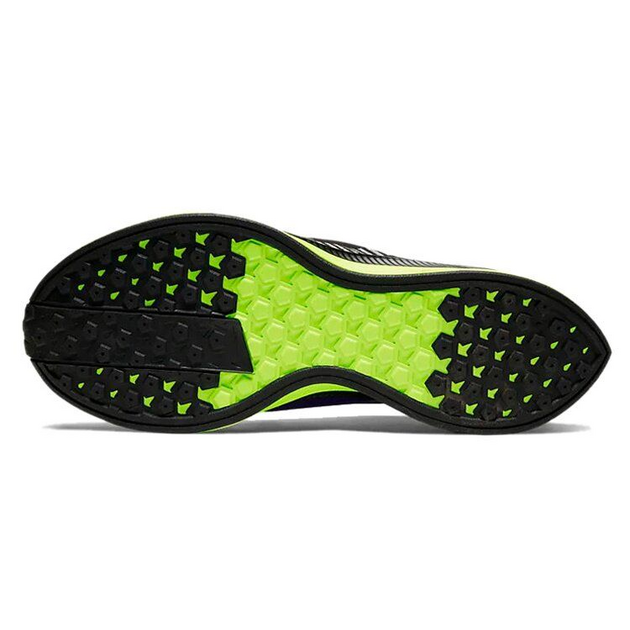 Nike Pegasus Turbo Shield Zoom