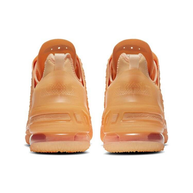 Nike LeBron 18