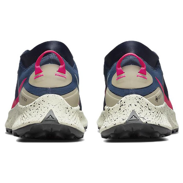 Nike Pegasus TRail 3 GTX