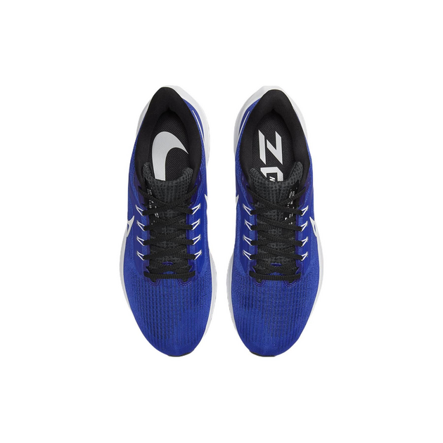 Nike Air Zoom Pegasus 39