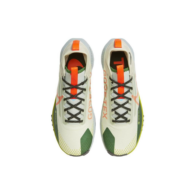Nike Pegasus TRail 4 GTX