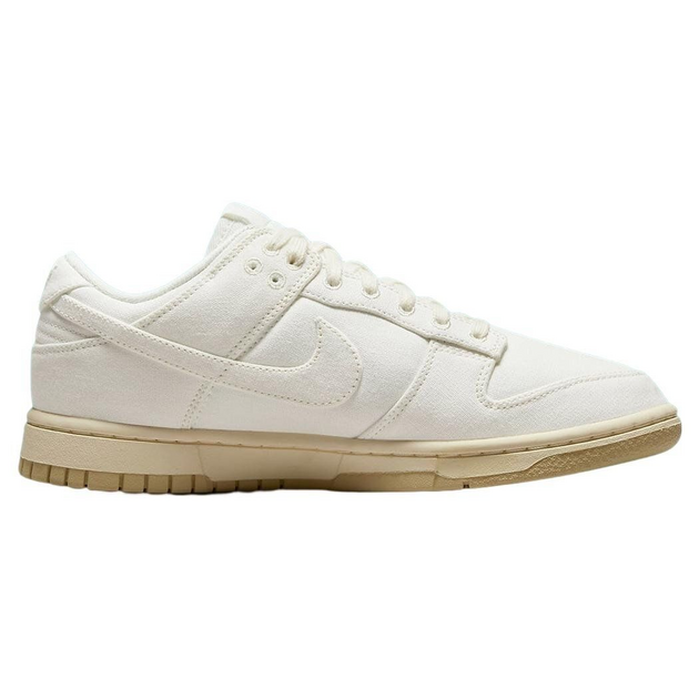 Nike Dunk Low The Future is Equal
