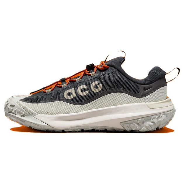 Nike ACG Mountain Fly 2 Low Gore-Tex