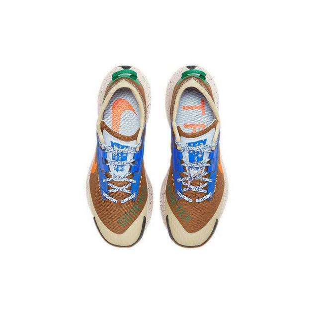 Nike Pegasus TRail 3