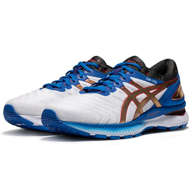 Asics Gel-Nimbus 22