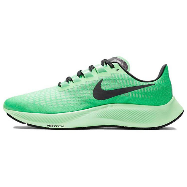 Nike Pegasus 37