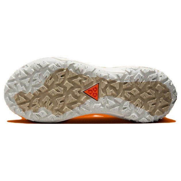 Nike ACG Mountain Fly 2 Low Gore-Tex