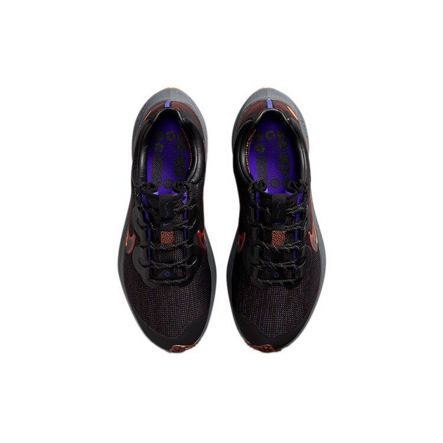Nike Zoom Winflo 8 shield
