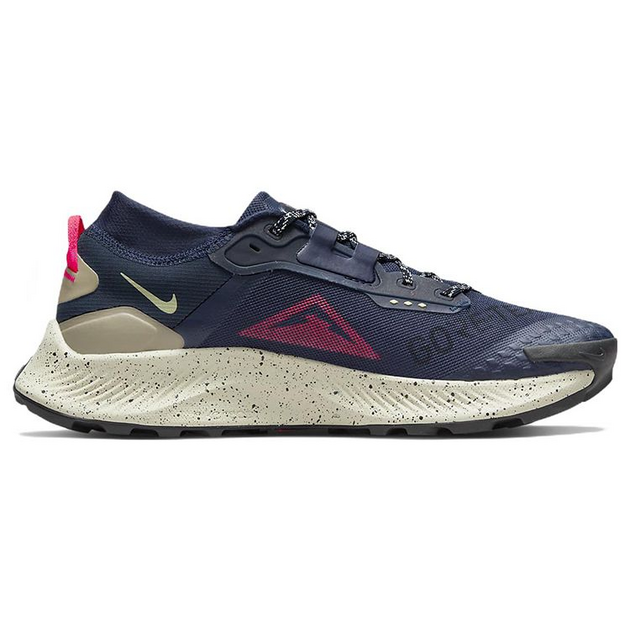 Nike Pegasus TRail 3 GTX