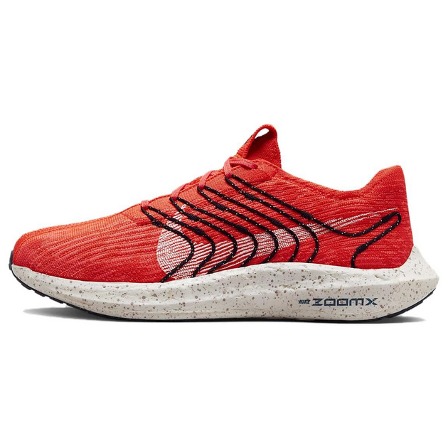 Nike Pegasus Turbo Next Nature
