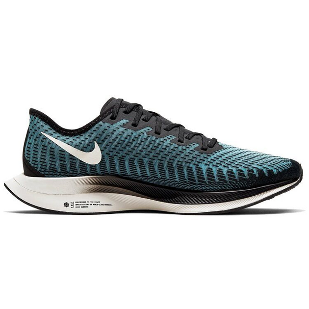 Nike Pegasus Turbo 2