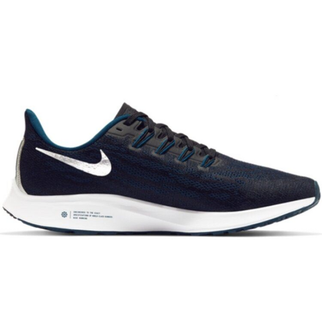 Nike Pegasus 36