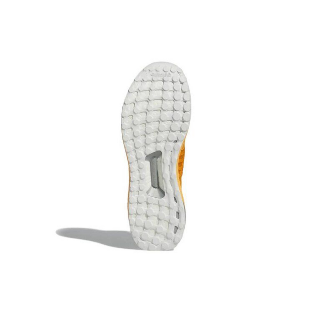Adidas UltraBoost Climacool 2 DNA