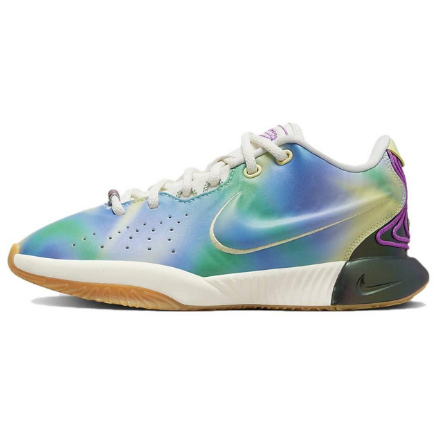 Nike LeBron 21 Multicolor GS