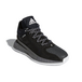 Adidas D Rose 11