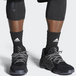 Adidas Harden Vol 4 GCA
