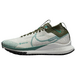Nike Pegasus TRail 4 Gore-Tex