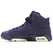 Air Jordan 6 Retro Purple Dynasty