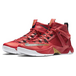Nike Ambassador 8