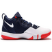 Nike Ambassador 9 LBJ