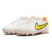 Nike Tiempo LegEnd 9 Academy AG