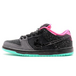 Nike Dunk SB Premier Northern Lights