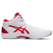 Asics Gel-Hoop V12
