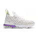 Nike LeBron 16