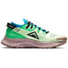 Nike Pegasus TRail 2