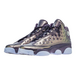Air Jordan 13 Retro Dark Raisi GS