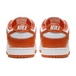 Nike Dunk Syracuse