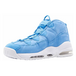 Nike Air Max Uptempo 95