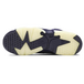 Air Jordan 6 Retro Purple Dynasty