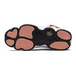 Air Jordan 6 Rings GS