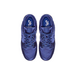 NBA x Nike Dunk SB