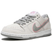 Nike Dunk SB Ishod W Flat Silver
