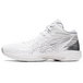 Asics Gel-Hoop V14