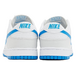 Nike Dunk