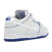 Nike Dunk SB PRM