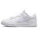 Nike Dunk Se