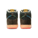 Concepts x Nike Dunk SB Pro QS Mallard