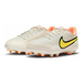 Nike Tiempo LegEnd 9 Academy FGMG